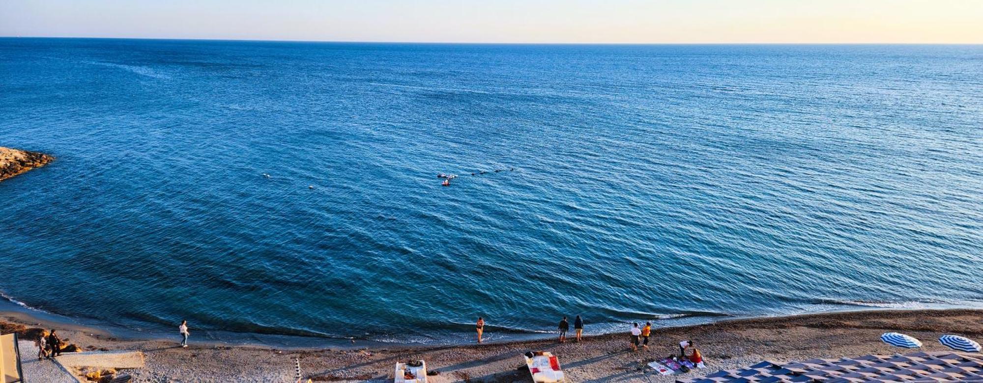 La Dolce Vita دراس المظهر الخارجي الصورة